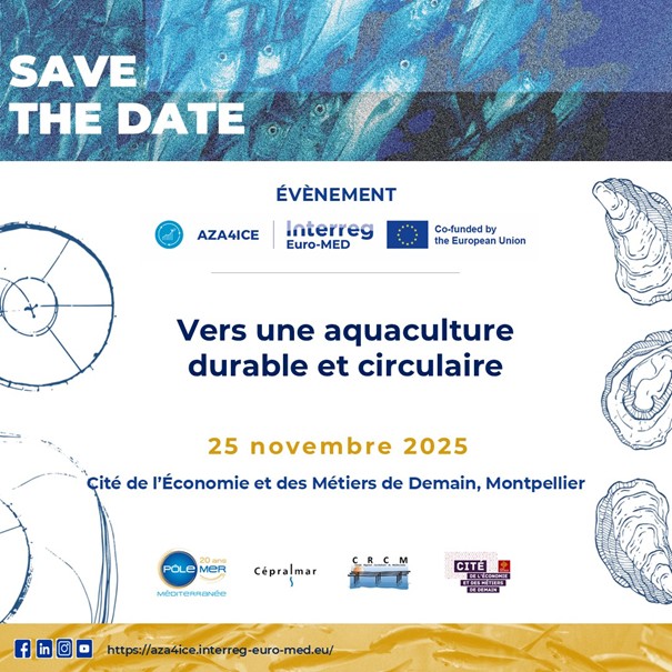 Pôle Mer Méditerranée