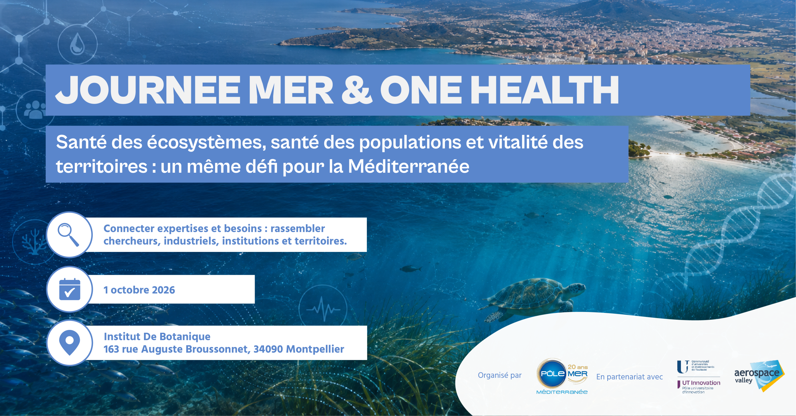 Pôle Mer Méditerranée